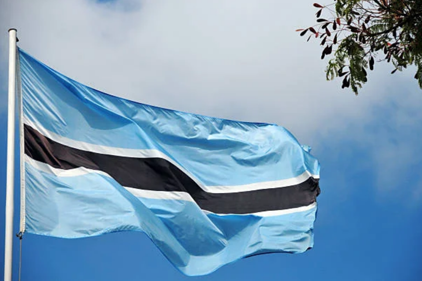 Import Requirements for Used Cars to Botswana