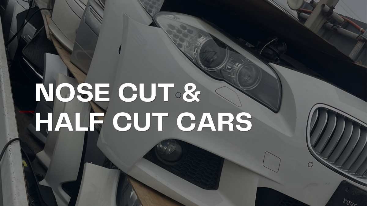 Half Cut vs Nose Cut: What's the Difference?